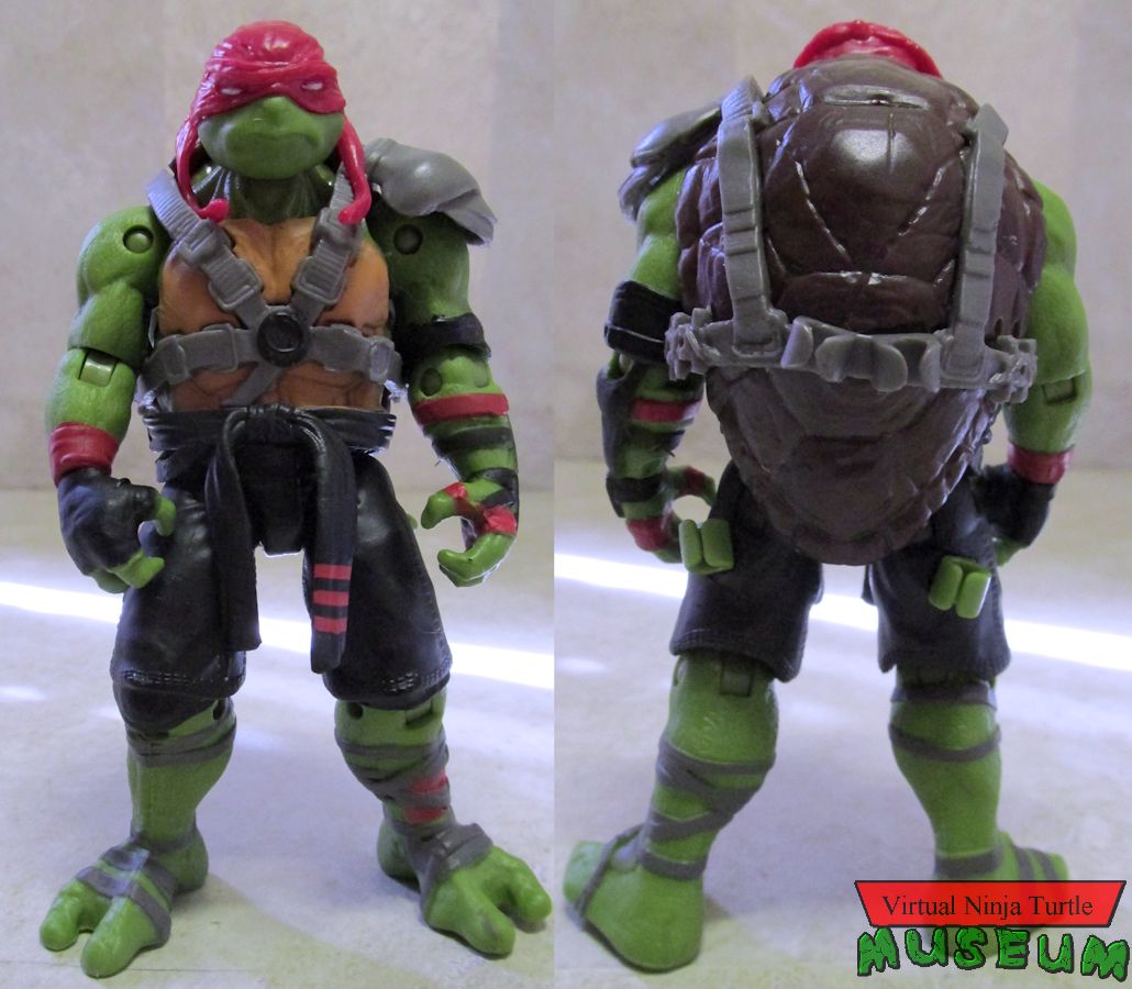 Raphael front and back