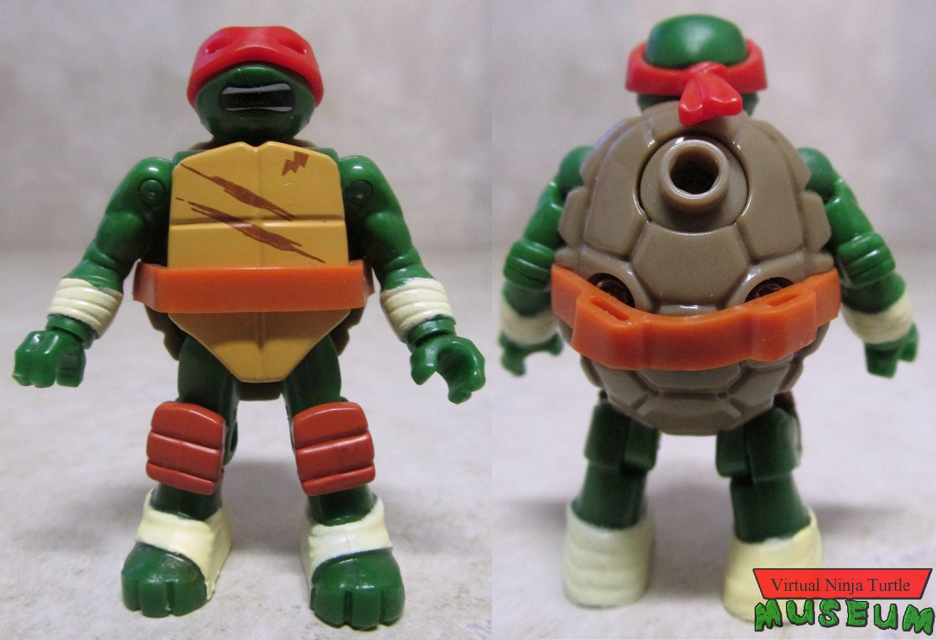 Raphael front and back