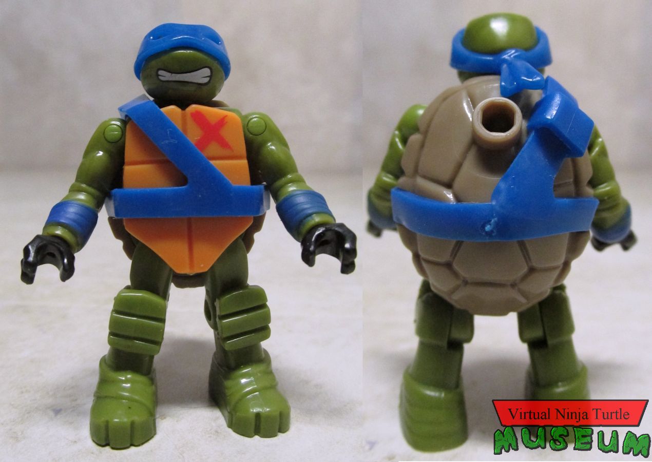 Leonardo front and back